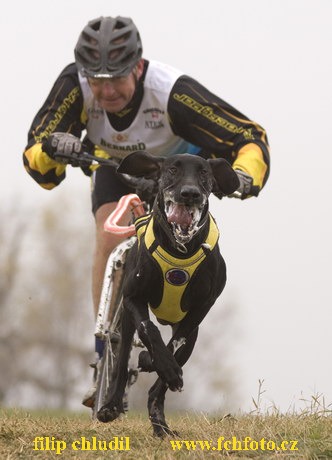 Tri studne podzim 08 - 483.jpg